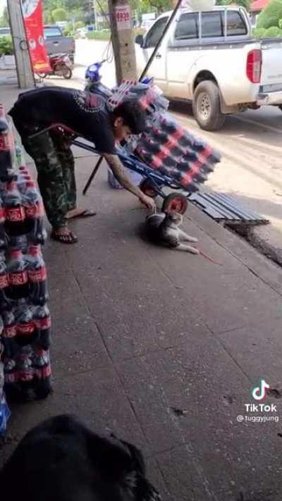 Work around me, peasant!