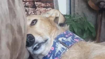 Hazel ran out of batteries