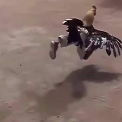 I had to make it a lil saucier