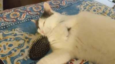 When you're vibing so hard it's concerning