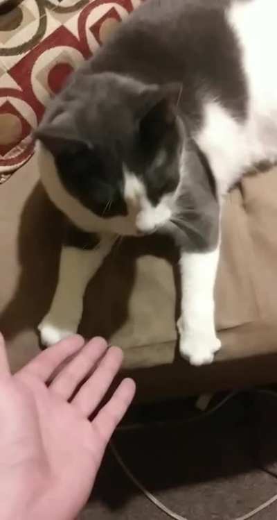 High Five of The Week!!!