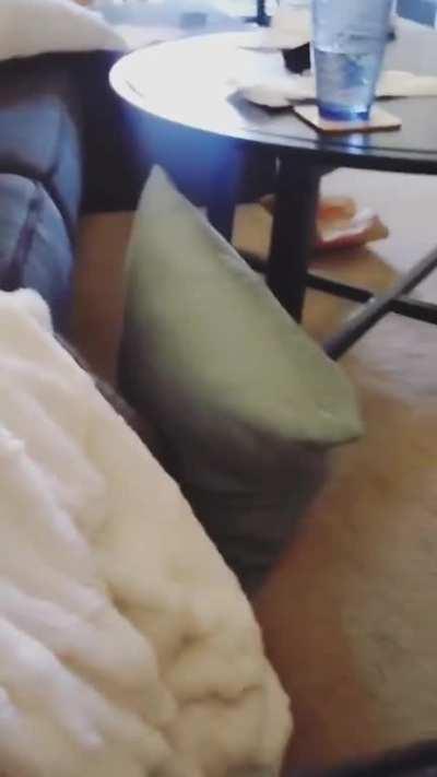 *Yawn* Time for a nap--meOW