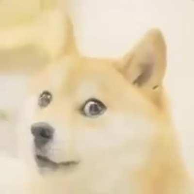 Me when I run in to a Micheal Myers