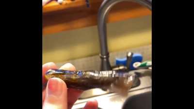 Opal that looks kinda like a piece of bone