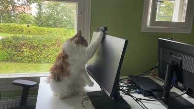 Installing The Webcam.