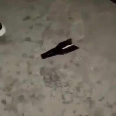 HUEstation - Video #4547