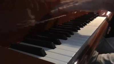 ATR perro cumbia cajeteala piola gato!