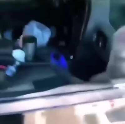 just some cats vibin in a car