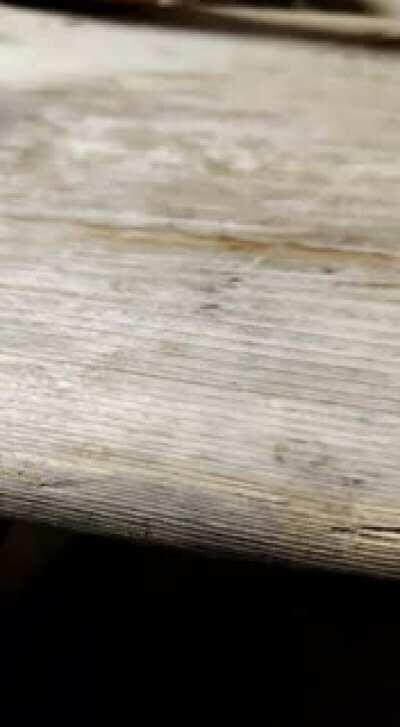 A in Tirol impf ma schu