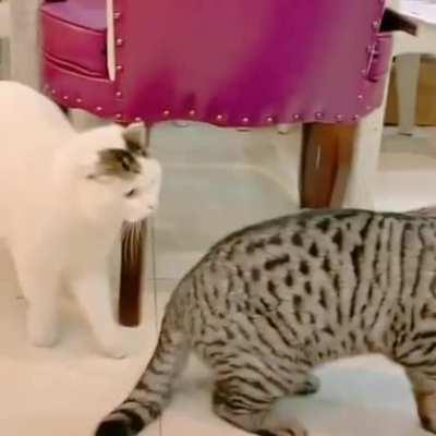 There is a new sheriff in town.,,....