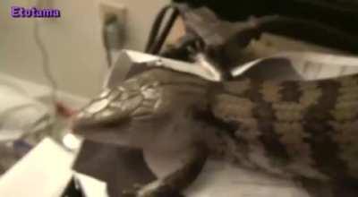 Did that excite you?