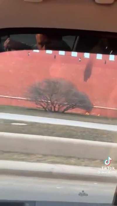 Lone Russian Fire Bombing the walls of the Kremlin a few hours ago