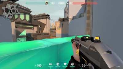 Best sage wall I have ever found and I've never seen anyone else use it.