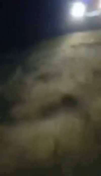 琼 追 不 舍 ☆☆☆✭✭