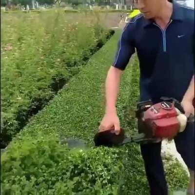 For those who love a trimmed bush 😜✂️🍃