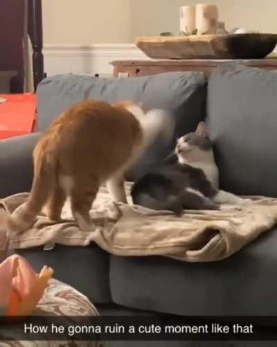 *Insert Tom&Jerry's bonk sound*