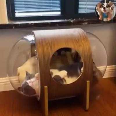 Really made me smile