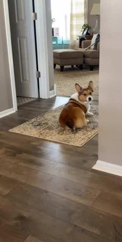 When the boss walks in and you’re napping on the job.