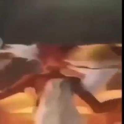 hola..................