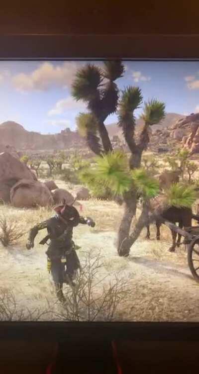 Found a dancing tree (Had to delete account and repost)