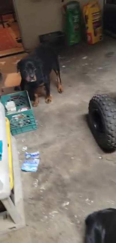 Healthy Snacks Time.