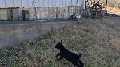 Just a little bit of outdoor fun to say goodbye