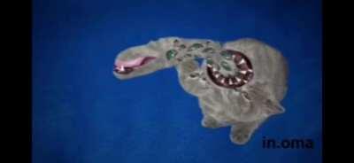 Cursed_Kitty
