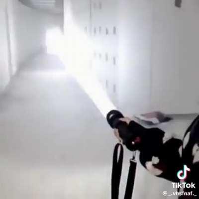 Saw this meme on tiktok