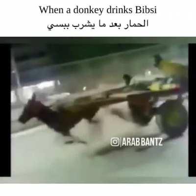 When a donkey drinks Bibsi