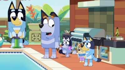 Check out this video i made of Socks!