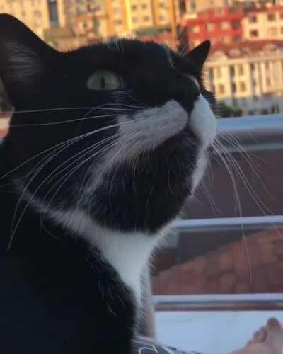 There's a fly on the wall.