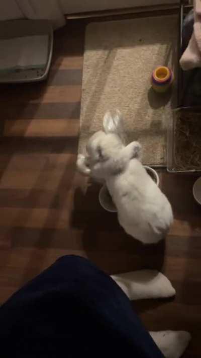 He loves his little teddy