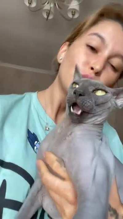 Girl’s bald kitty is irritated