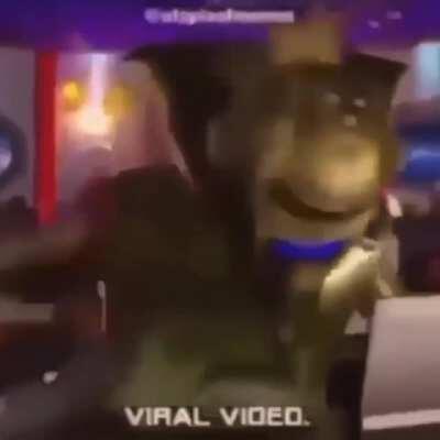 viral video