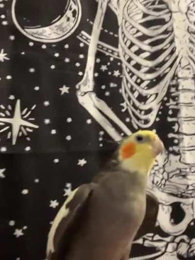 Here’s 3 minutes of Groot singing the cookie song