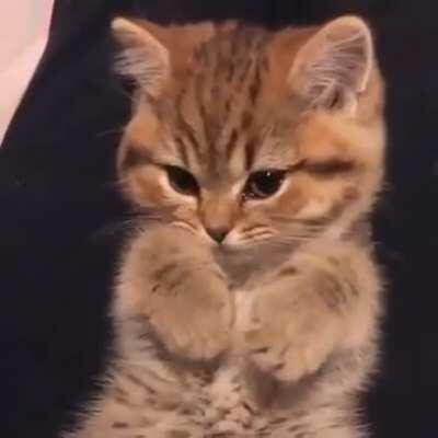 Ну ладно, давай, бухти мне, как космические корабли бороздят Большой театр.