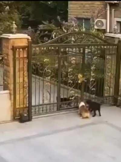 Когда в игре есть автобаланс команд