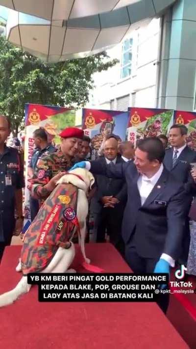 YB KM memberi pingat Persembahan Emas kepada Blake, Pop, Grouse dan Lady atas jada di Batang Kali