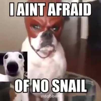 Hey bro you got a phone call