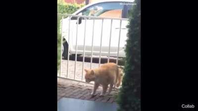 TMYLYL - Video #3554