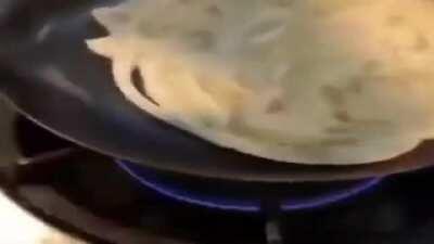 fun fact:The second smallest creature on earth is the 