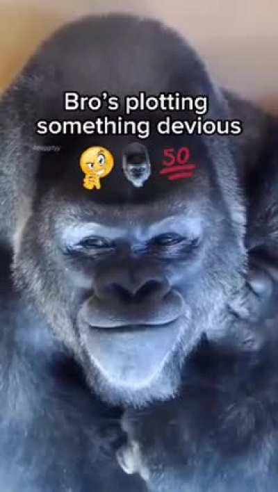 Balkans residents coming up with the most racist and offensive memes.