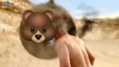 Markets Dipping, Hold Strong