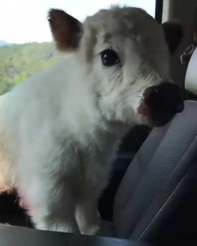 Let's get moving already!