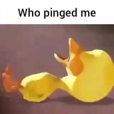 Who has pinged me caw caw