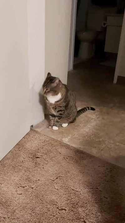 Hemingway getting excited