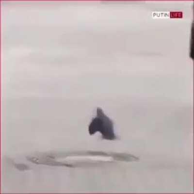 An american spy undercover in russia waves at president putin