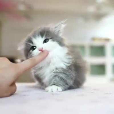 You've been hit by a cute criminal