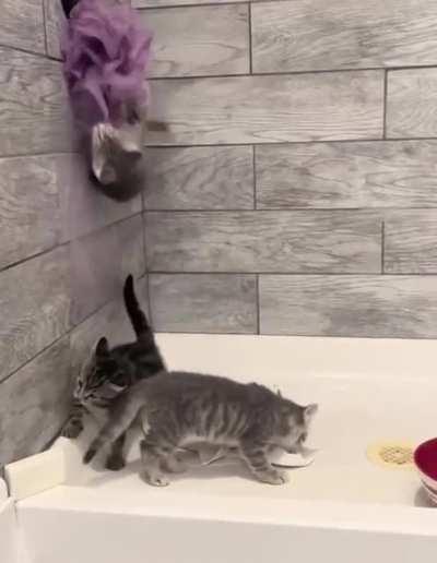 Что здесь происходит?