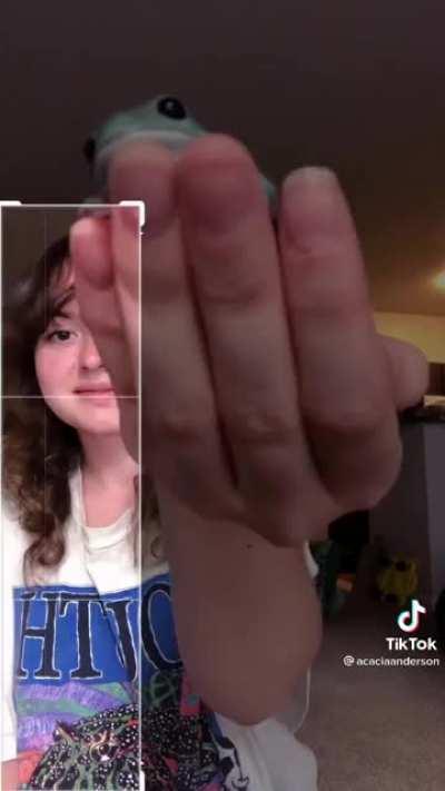 not my oc, but here frog :)